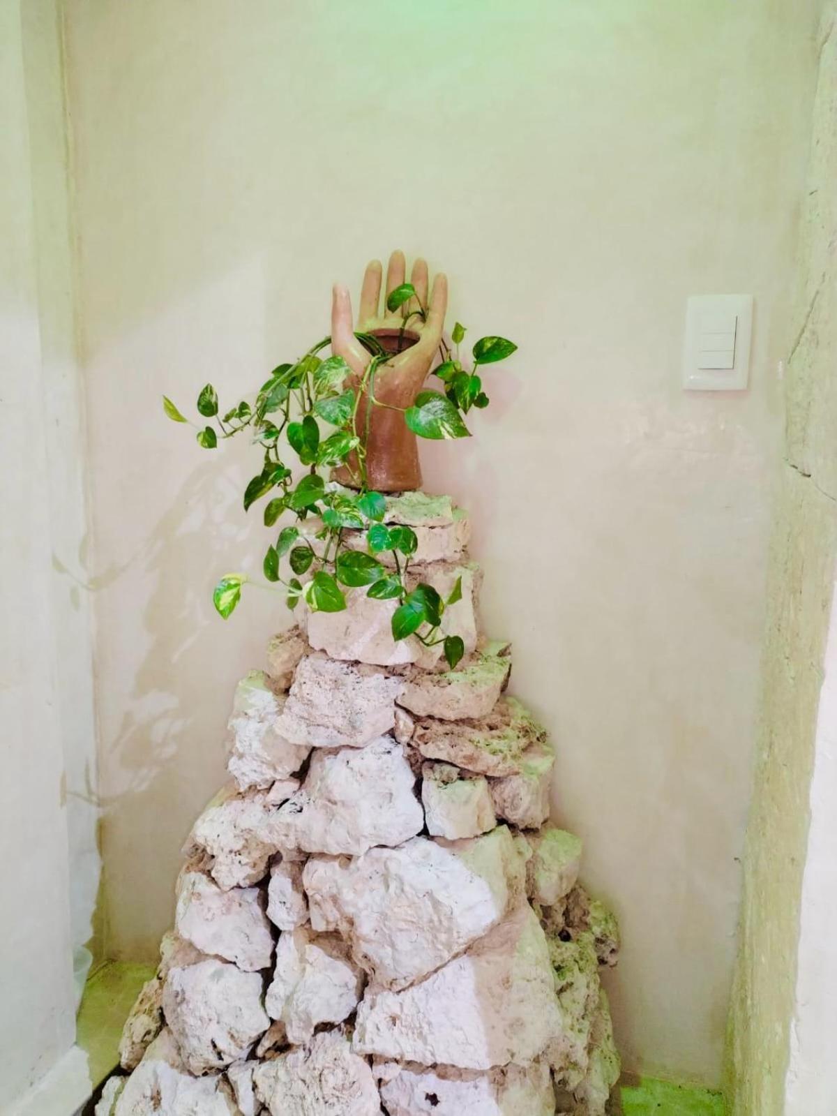 Hotel Sacbe Cobá Екстериор снимка